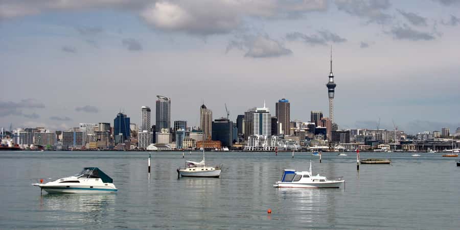 Auckland Scenic Half-Day City Sightseeing Tour - Key points at a glance