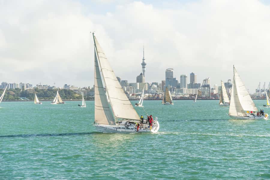 Auckland Scenic Half-Day City Sightseeing Tour - Why this four-hour route works for Auckland