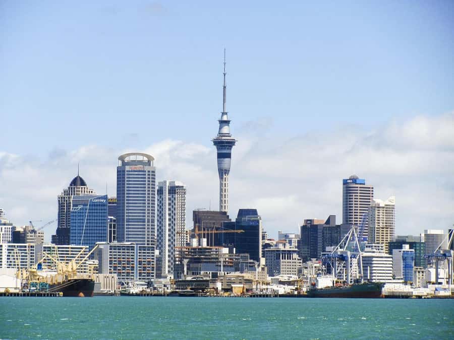Auckland: Scenic Harbour Cruise with Live Commentary - Key points at a glance