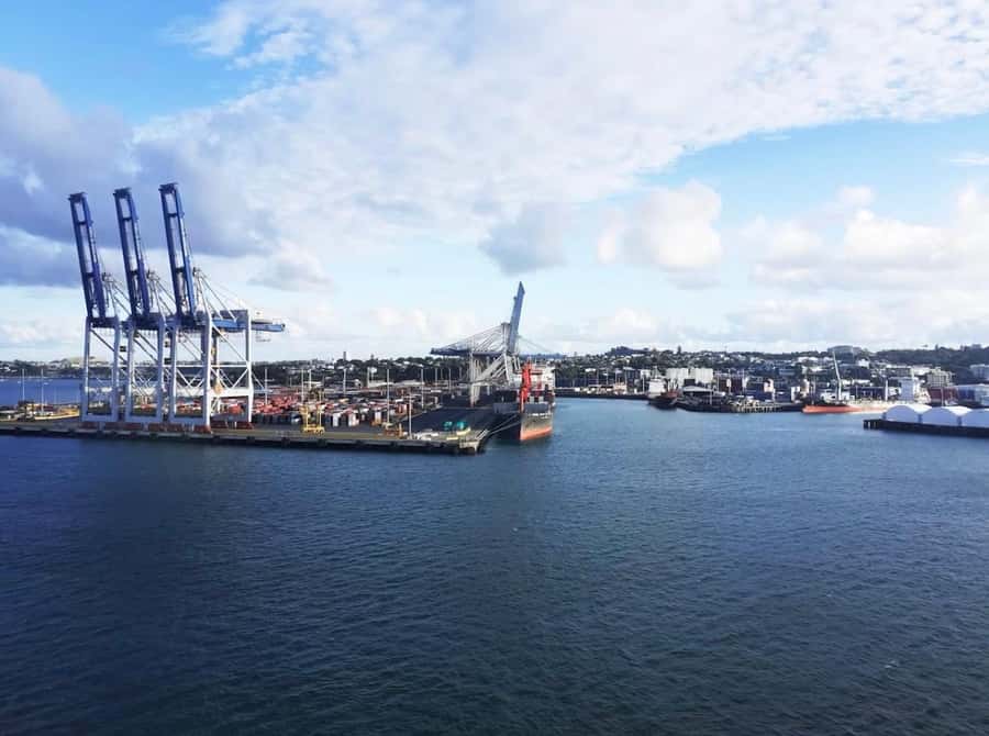 Auckland: Scenic Harbour Cruise with Live Commentary - Why Auckland is best seen from Waitematā Harbour