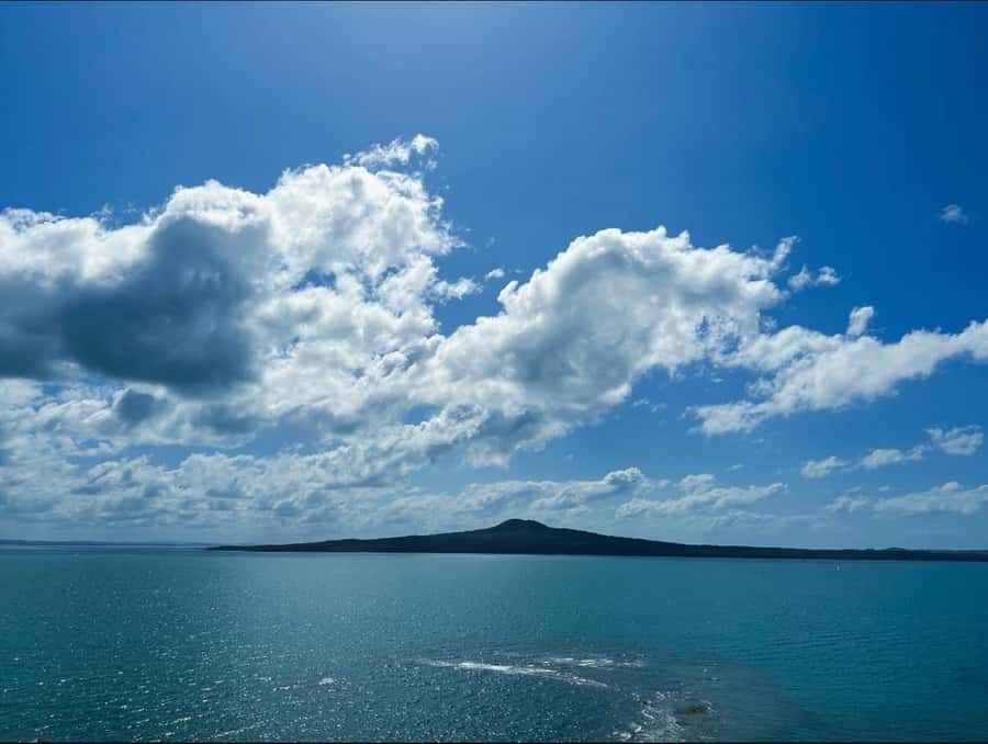 Auckland: Scenic Harbour Cruise with Live Commentary - What $17 buys you
