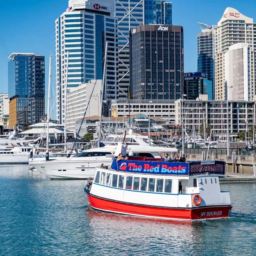 Auckland: Scenic Harbour Cruise with Live Commentary - Who will enjoy this cruise most