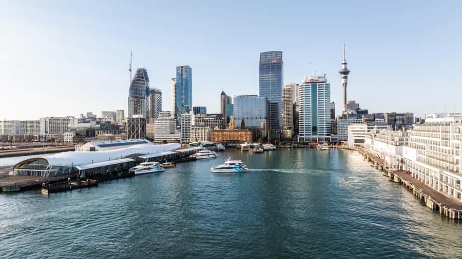 Auckland: Scenic Harbour Sightseeing Cruise - The skyline view: Sky Tower and the central waterfront
