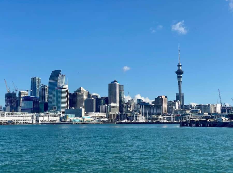 Auckland: Scenic Wine and Cheese Harbour Cruise - A gentle pace for couples and friends
