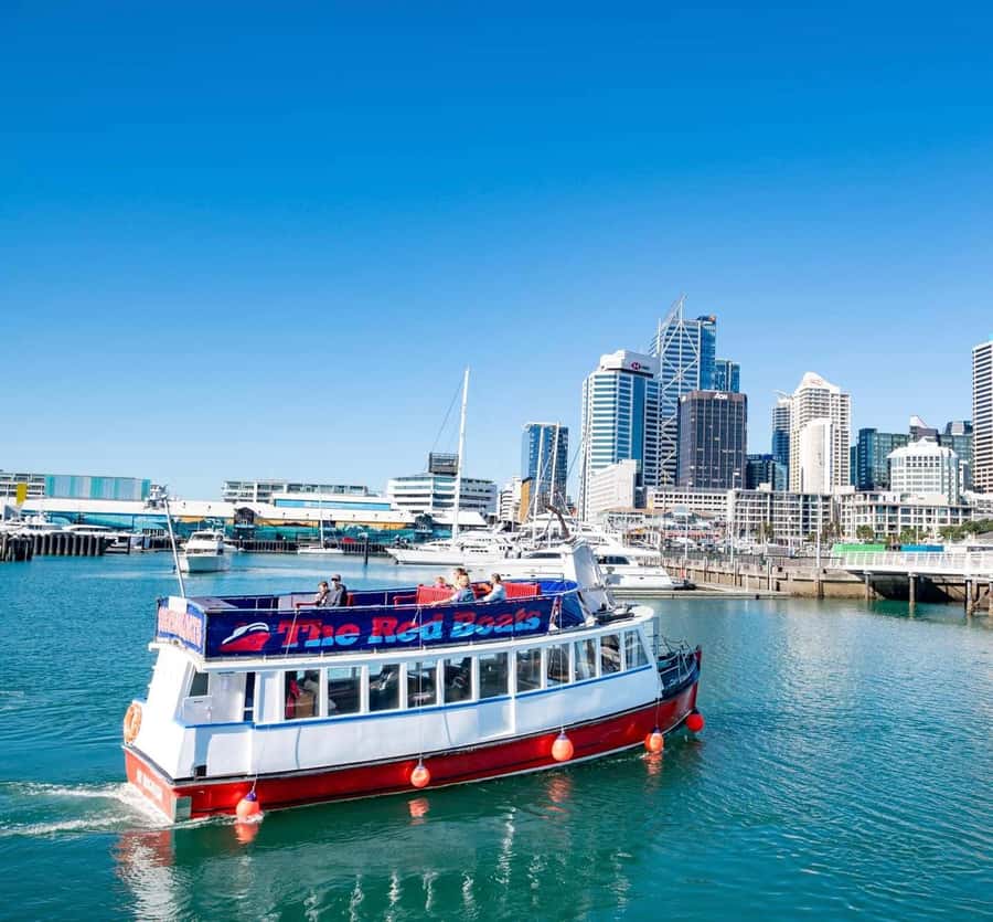 Auckland: Scenic Wine and Cheese Harbour Cruise - Timing, comfort, and practical value