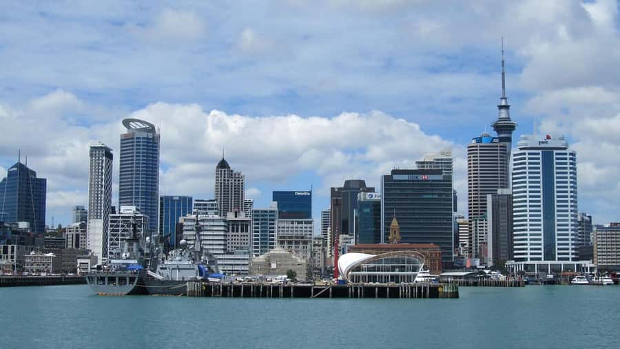 Auckland: Scenic Wine and Cheese Harbour Cruise - Who should book this harbour cruise