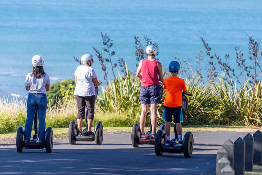 Auckland: Segway to North Head Volcano Summit - Reaching the Maungauika summit