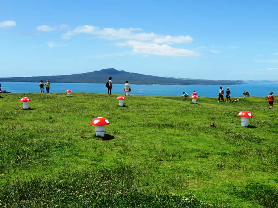 Auckland: Segway Tour to Mount Victoria - Key points