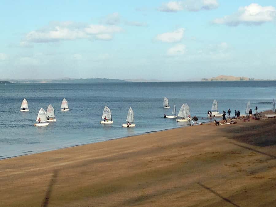 Auckland: Segway Tour to Mount Victoria - Who will enjoy this ride most