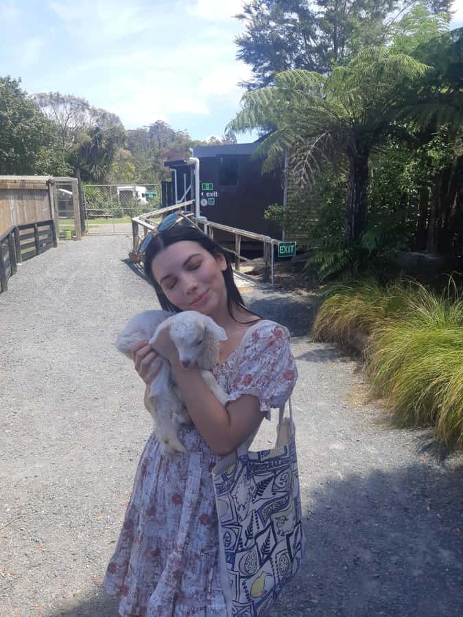 Auckland: Sheepworld, Honey Centre, & Kauri Trail Tour - Sheepworld and the one-hour show barn