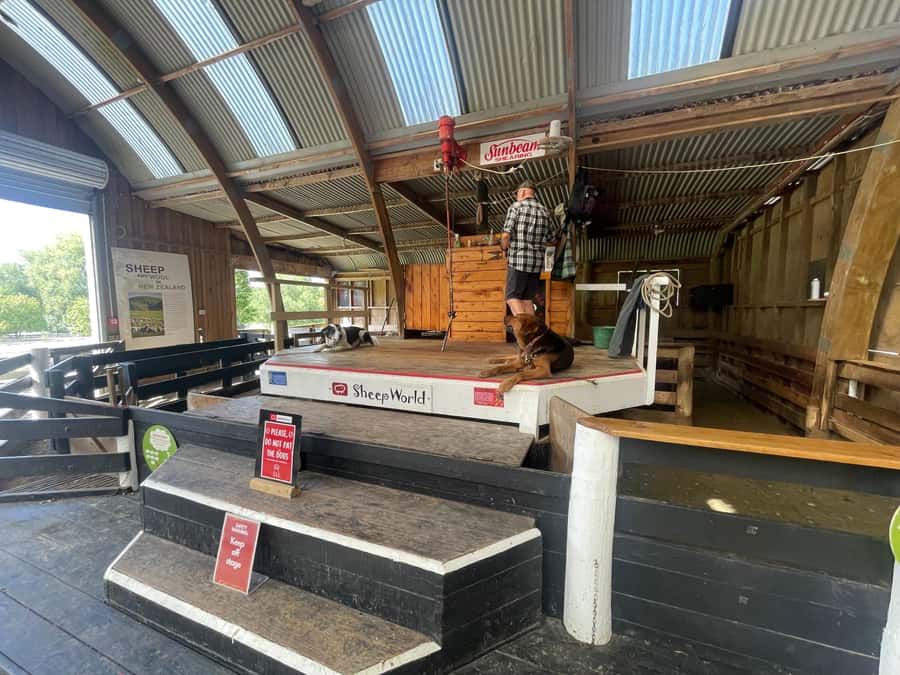 Auckland: Sheepworld, Honey Centre, & Kauri Trail Tour - Should you book Sheepworld, the Honey Centre, and the Kauri Trail?