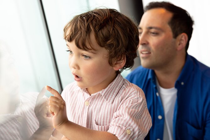 Auckland Sky Tower General Admission Ticket - SkyWalk, SkyJump, and SkySlide are separate