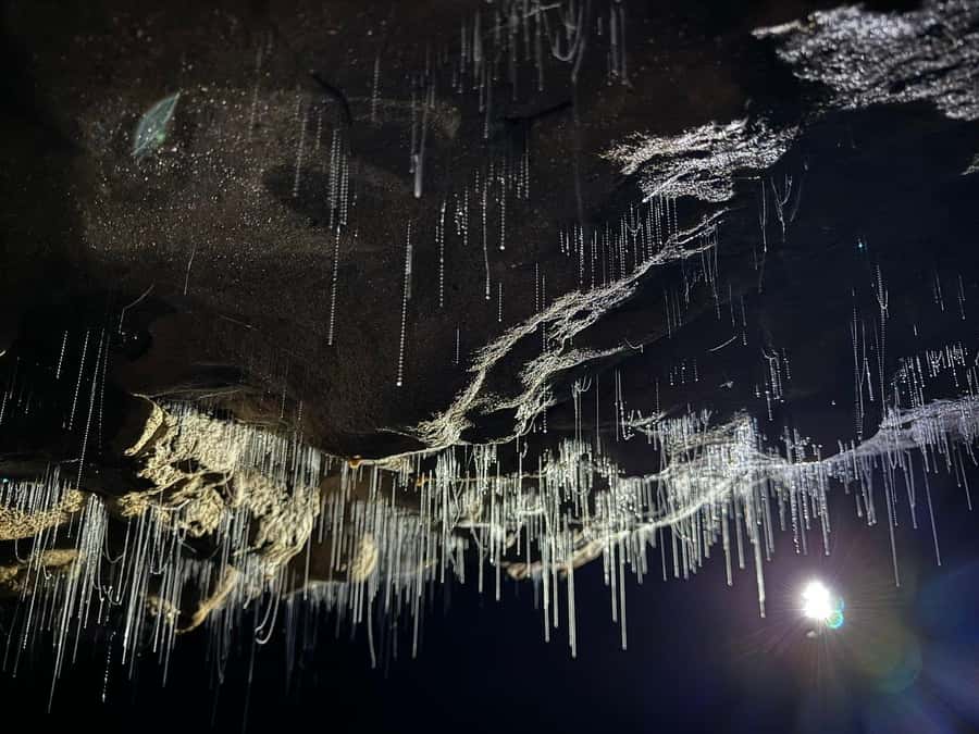 Auckland: Spellbound Glowworm Caves Explorer Tour - Key points at a glance