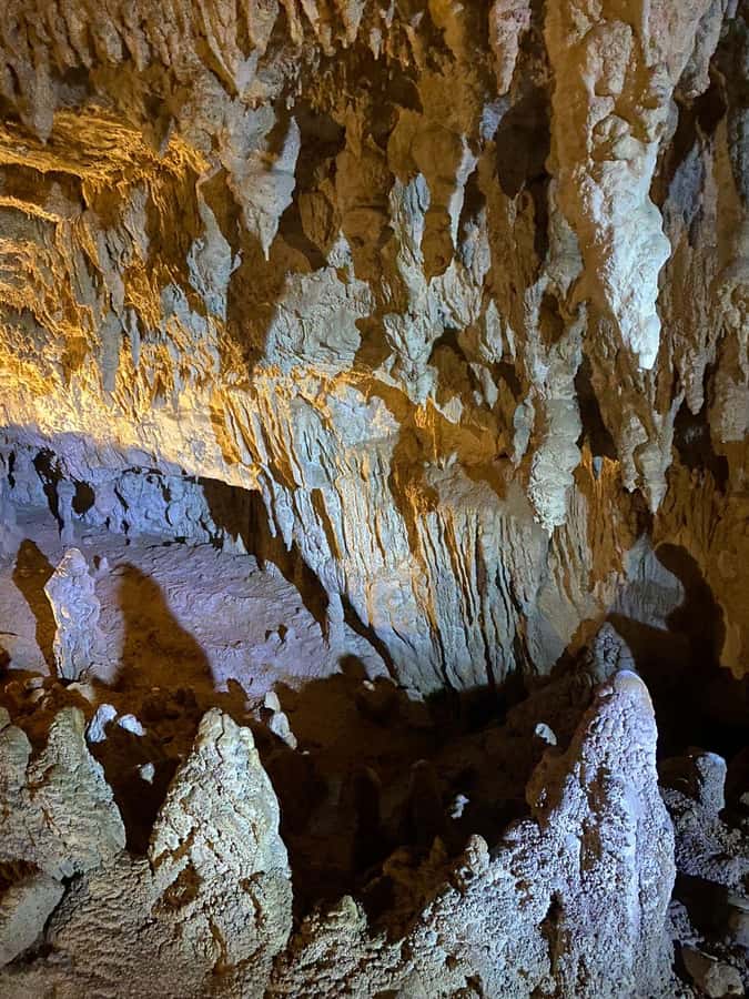 Auckland: Spellbound Glowworm Caves Explorer Tour - The long road from Auckland to Spellbound