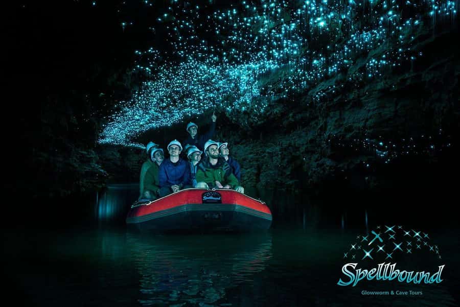Auckland: Spellbound Glowworm Caves Explorer Tour - The glowworm grotto and its starry ceiling