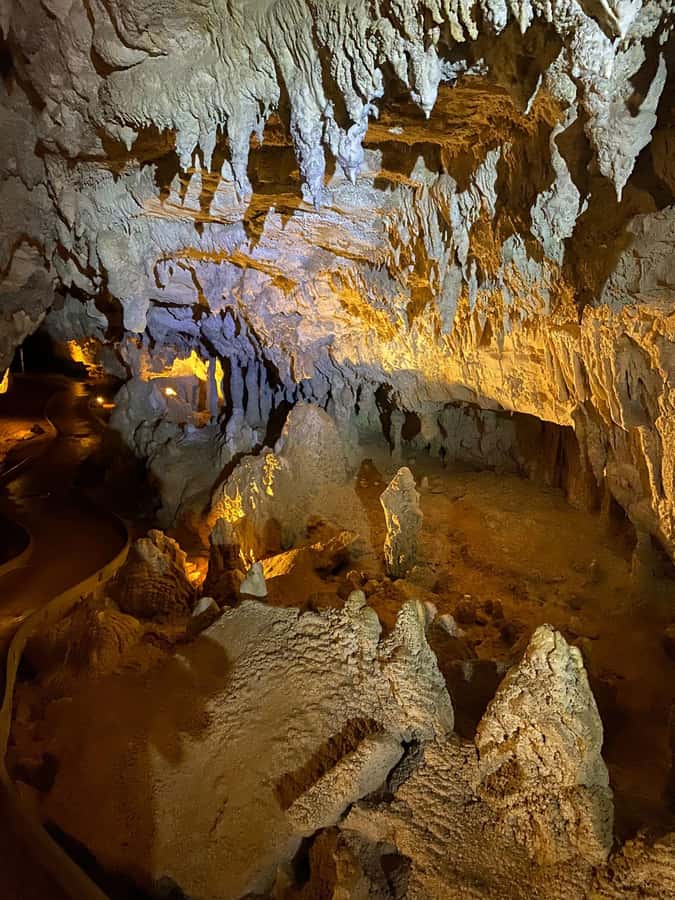 Auckland: Spellbound Glowworm Caves Explorer Tour - A 180-minute program with two distinct cave experiences