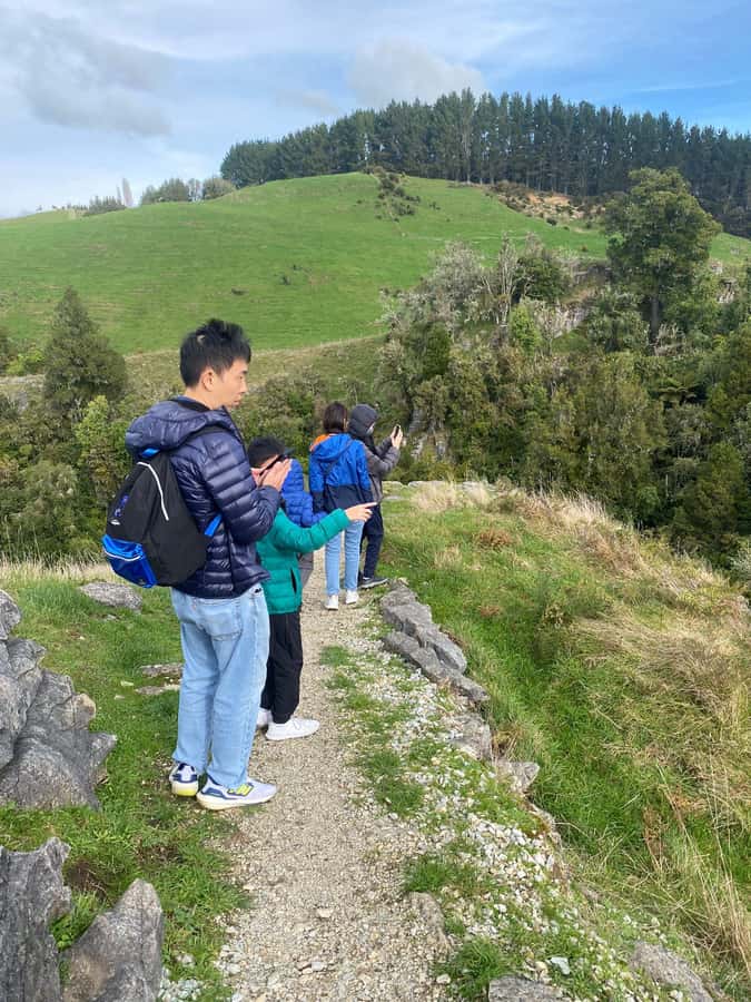 Auckland: Spellbound Glowworm Caves Explorer Tour - Who will enjoy this day most?