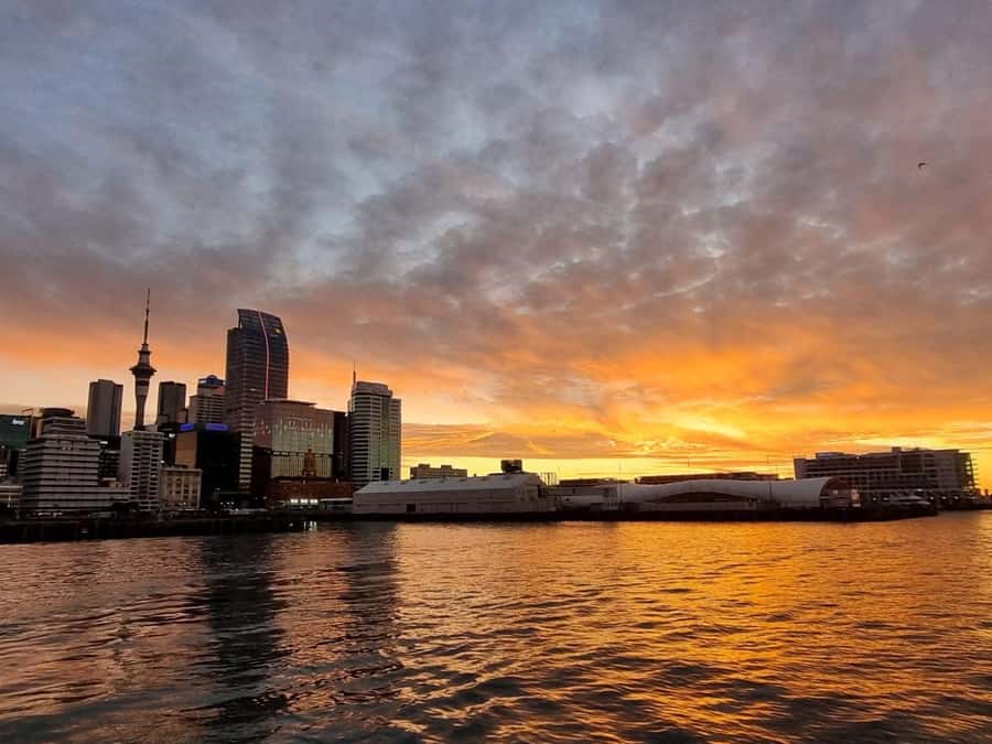 Auckland Sunset Harbour Cruise - Why a sunset cruise suits Auckland