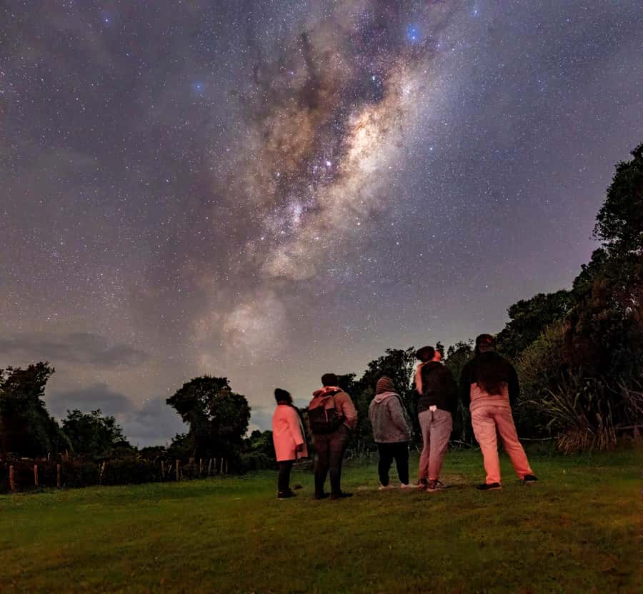 Auckland (Tawharanui): Wild Kiwi Bird Spotting Encounter - Key points to know before booking