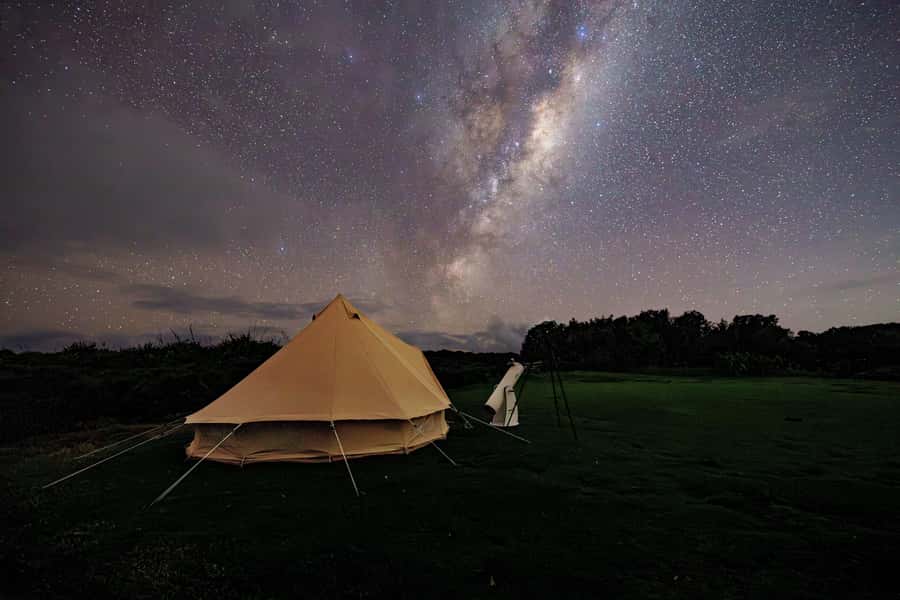 Auckland (Tawharanui): Wild Kiwi Bird Spotting Encounter - The optional overnight glamping stay