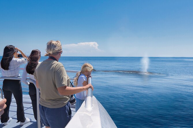 Auckland: Tikapa Moana Dolphin, Whale and Island Cruise - Reading the Hauraki Gulf as You Sail