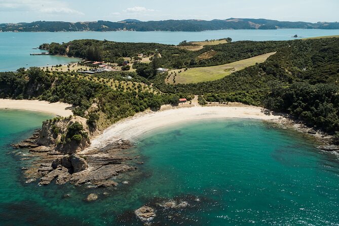Auckland: Tikapa Moana Dolphin, Whale and Island Cruise - Which Departure Should You Choose?