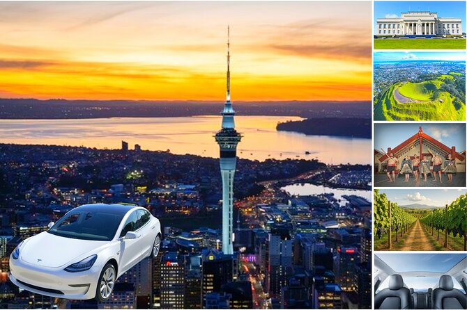 Auckland: Tikapa Moana Dolphin, Whale and Island Cruise - Who Will Enjoy This Cruise Most?