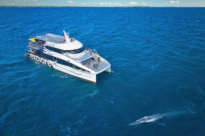Auckland: Tikapa Moana Dolphin, Whale and Island Cruise - Man O’ War Vineyards on Waiheke