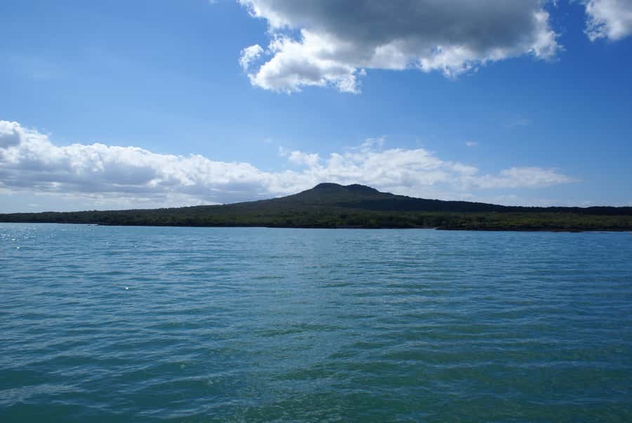 Auckland: Tikapa Moana Whales, Dolphins and Islands Cruise - Choosing Man O’ War Vineyard on Waiheke