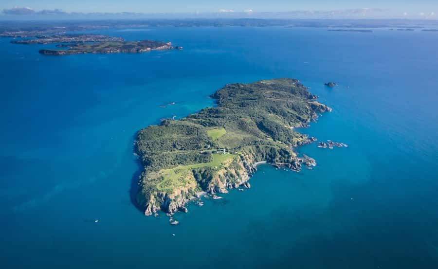 Auckland: Tiritiri Matangi Island Ferry - What the ferry ride is like