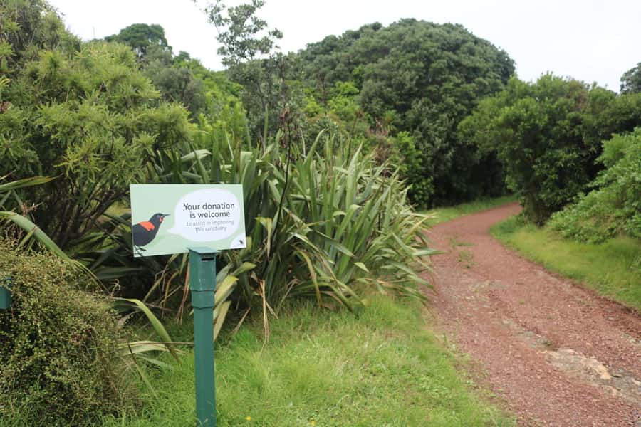 Auckland: Tiritiri Matangi Island Ferry - Landing on the island and finding your pace