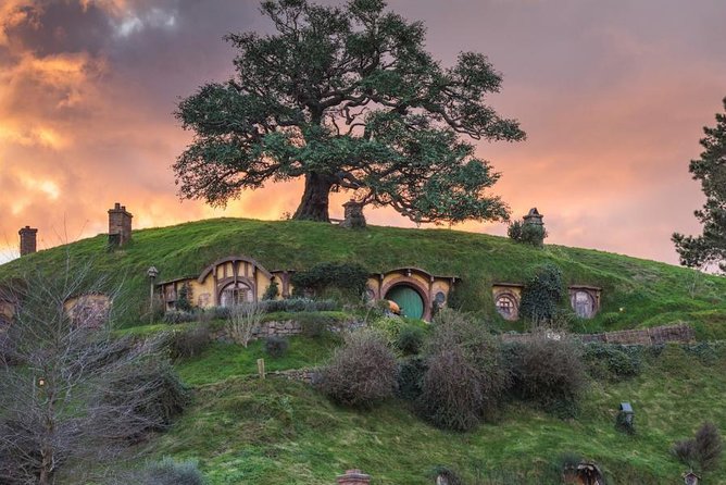 Auckland to Hobbiton Movie Set and Rotorua's Geothermal Valley - Who should book this Auckland day trip?
