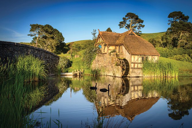 Auckland to Hobbiton Movie Set Private Tour - Why the Auckland to Hobbiton trip works