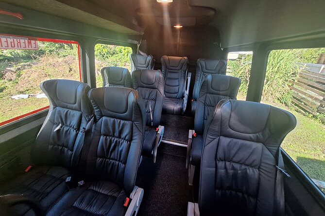 Auckland to Paihia via West Coast Small Group Tour (One Way) - Waipoua Forest and the living kauri