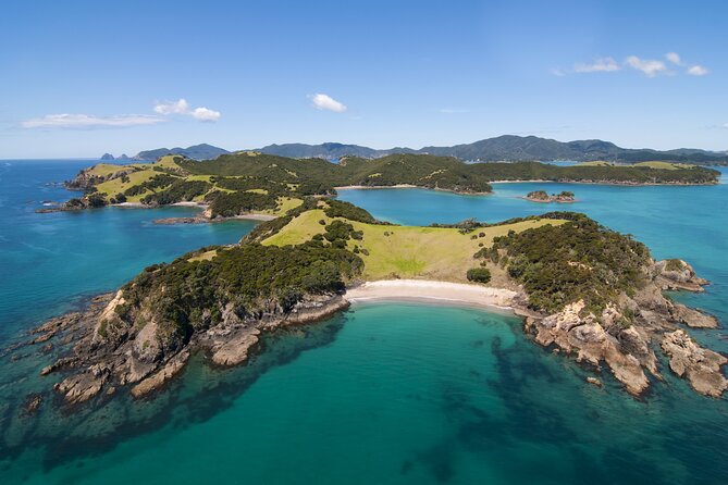 Auckland to Paihia via West Coast Small Group Tour (One Way) - Is the $216.58 price good value?