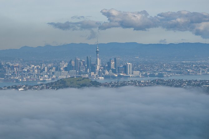 Auckland to Rangitoto Island Ferry - Why Rangitoto makes a strong Auckland day trip