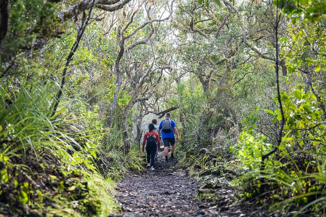 Auckland to Rangitoto Island Ferry - Timing your visit around the return ferry
