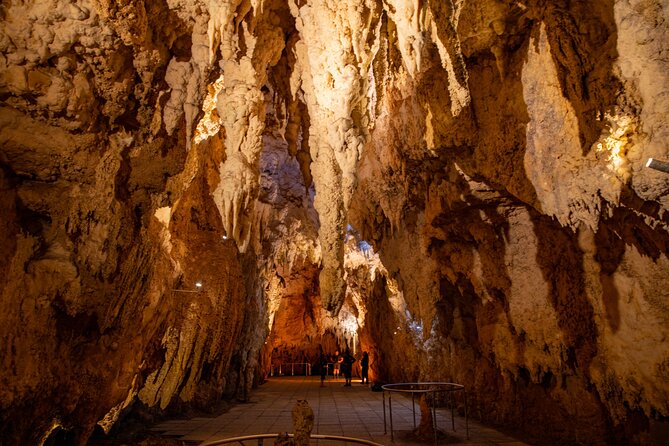 Auckland to Rotorua, Hobbiton and Waitomo 1 Way Small Group Tour - What the small group changes