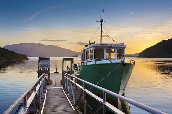 Auckland to Rotorua Private Tour - The three-hour road to Rotorua