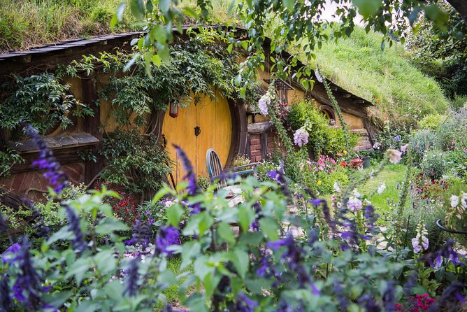 Auckland to Rotorua via Hobbiton Small Group Tour (One Way) - What the small group changes