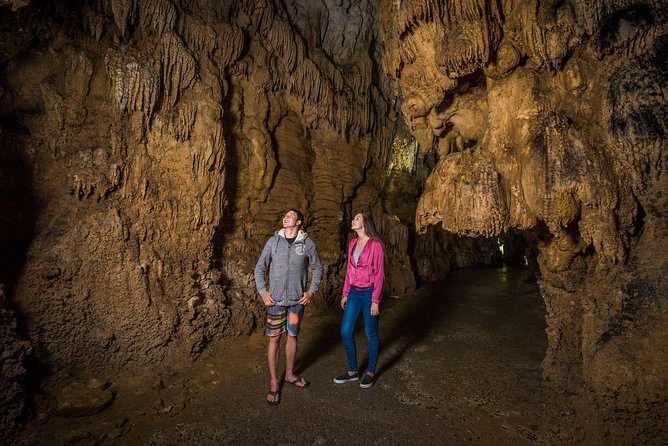 Auckland to Rotorua via Waitomo Caves Small Group Tour (One Way) - Leaving Auckland at 6:00 am