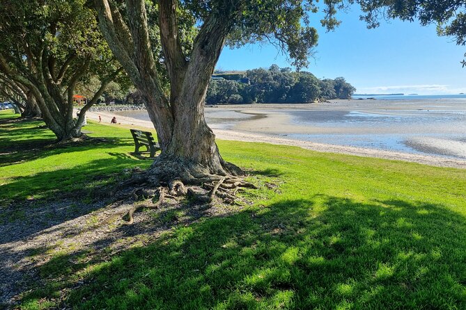 Auckland Town and Country Delights Tour - Why this route gives you more than central Auckland