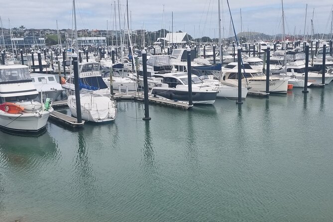 Auckland Town and Country Delights Tour - Price, timing, and the practical value