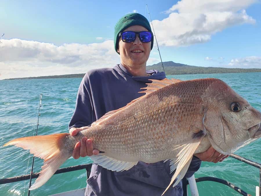 Auckland: Twilight Fishing Charter 5pm - 9:30pm - Bringing dinner, drinks, and a chilly bin