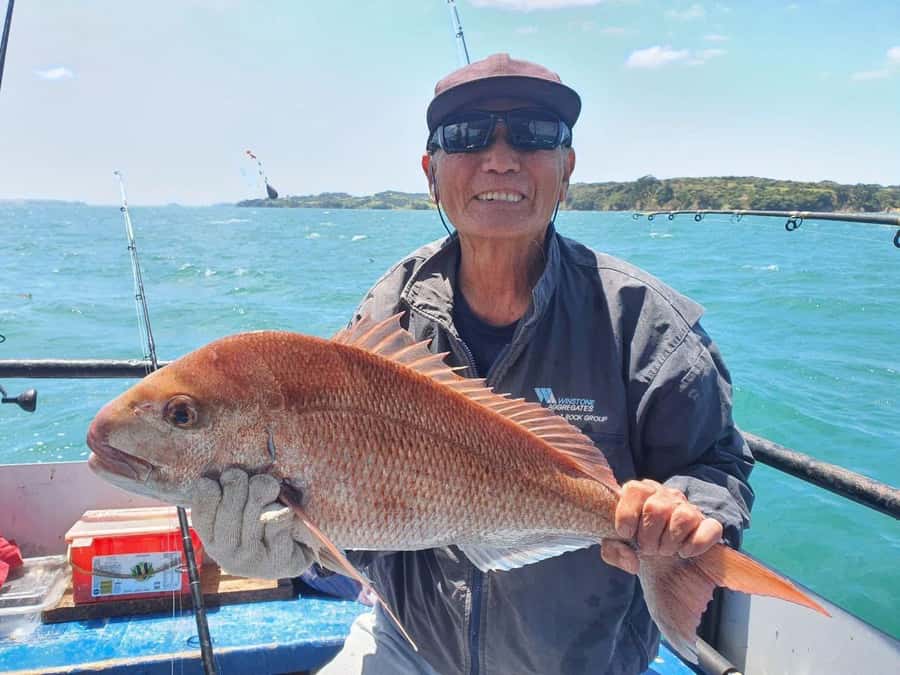 Auckland: Twilight Fishing Charter 5pm - 9:30pm - Meeting at Z Pier without confusion