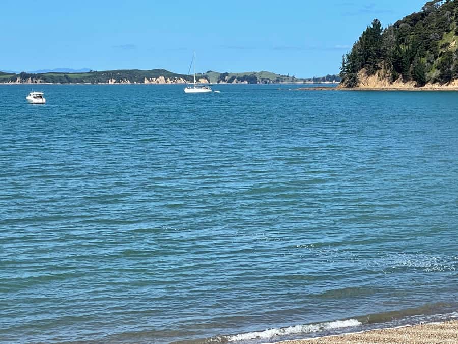 Auckland: Waiheke Island Luxury Experience Private Tour - Is $594 per person good value?