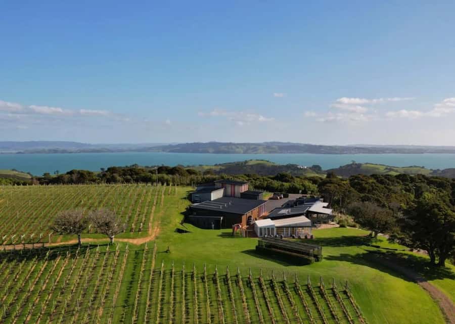 Auckland: Waiheke Island Wine and Food Tasting with Flights - Why this Waiheke trip feels different