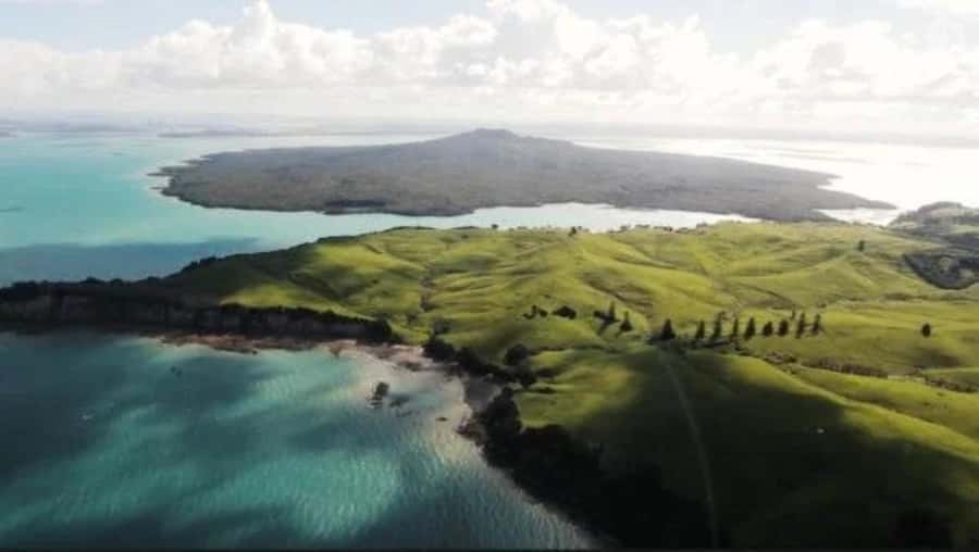 Auckland: Waiheke Island Wine and Food Tasting with Flights - Lunch and wine at Batch Winery