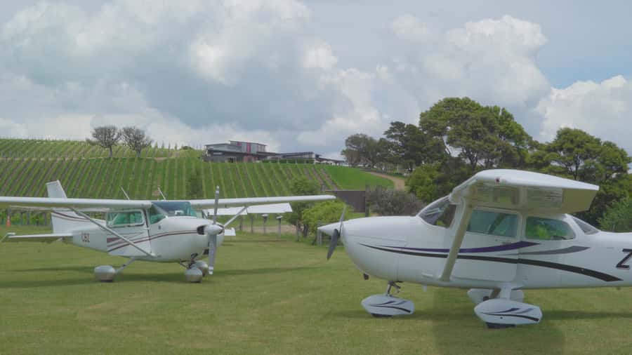 Auckland: Waiheke Island Wine and Food Tasting with Flights - The drive across Waiheke to Matiatia