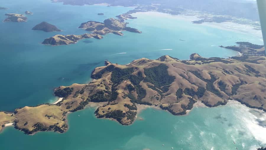 Auckland: Waiheke Island Wine and Food Tasting with Flights - Weather, flexibility, and the practical details
